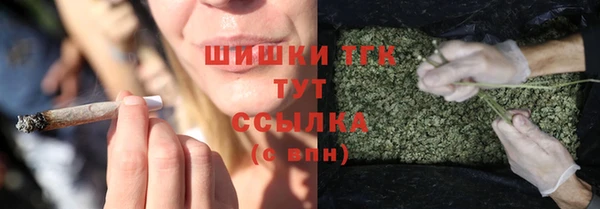 mdpv Новодвинск
