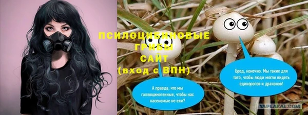 mdpv Новодвинск