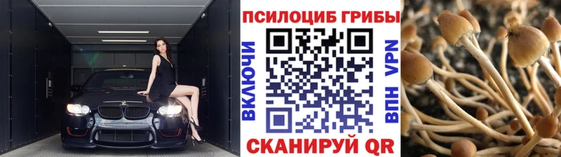 Псилоцибиновые грибы мухоморы  Байкальск 